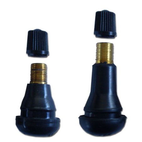 Valves tubeless