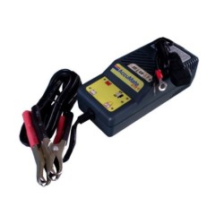 Chargeur et mainteneur 6/12V